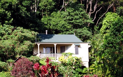 Image Caption